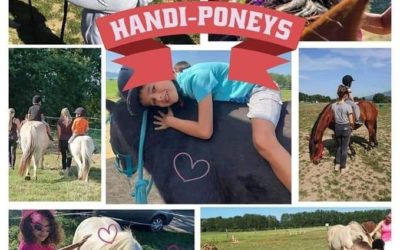 Reprise du Handi Poneys