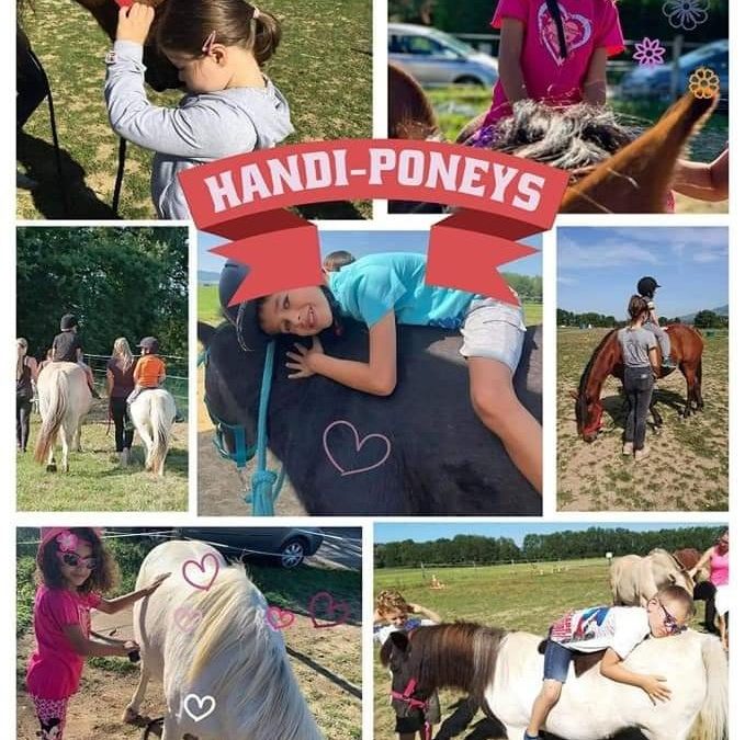 Reprise du Handi Poneys