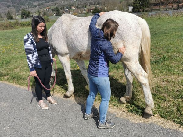 Soins pour Malou