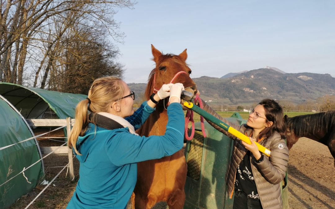 Visites pour les loulous