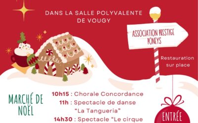 Marché de Noël 2025