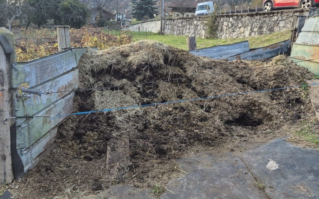 FUMIER DE CHEVAL GRATUIT – SERVEZ-VOUS !