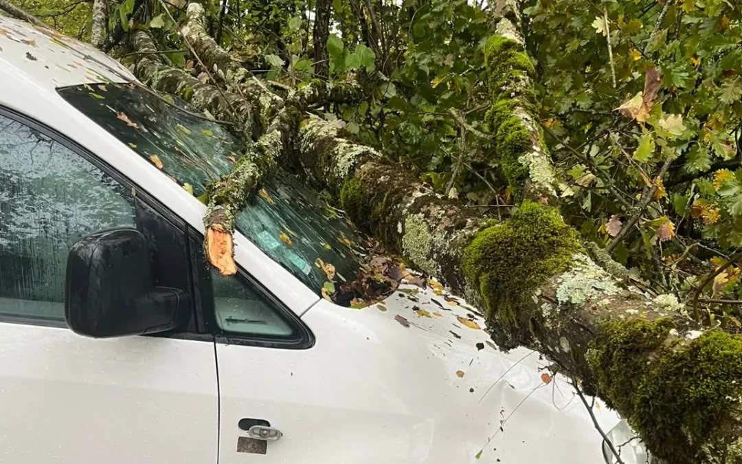 Urgence : Notre véhicule a été détruit